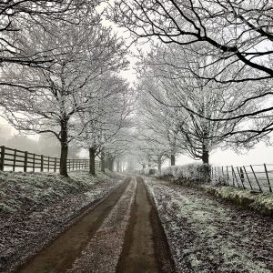 stockton winter